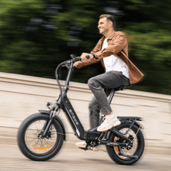 ENGWE L20 3.0 Boost 250W 75Nm Potenza Boost Bicicletta Elettrica Compatta a Sospensione Completa