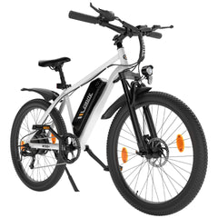 ESKUTE M100+ 27.5" Mountain Electric Bike 250W Motor 36V 13.5h Battery