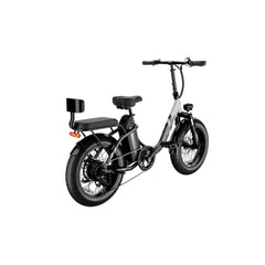 LUCKEEP C23 20" Folding Electric Bike 750W(1200W Peak) Motor 48V 15Ah Battery