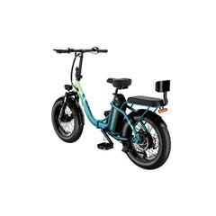 LUCKEEP C23 20" Folding Electric Bike 750W(1200W Peak) Motor 48V 15Ah Battery