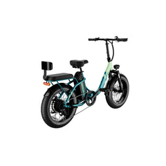 LUCKEEP C23 20" Folding Electric Bike 750W(1200W Peak) Motor 48V 15Ah Battery