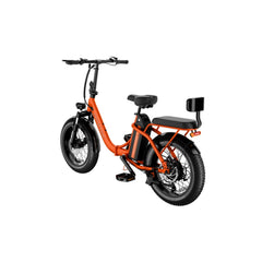 LUCKEEP C23 20" Folding Electric Bike 750W(1200W Peak) Motor 48V 15Ah Battery