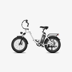 LUCKEEP C27 20" Step-Thru Cargo Electric Bike 750W(1200W Peak) Motor 48V 13Ah Battery