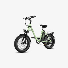 LUCKEEP C27 20" Step-Thru Cargo Electric Bike 750W(1200W Peak) Motor 48V 13Ah Battery