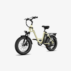 LUCKEEP C27 20" Step-Thru Cargo Electric Bike 750W(1200W Peak) Motor 48V 13Ah Battery