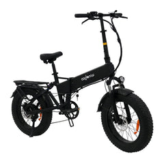WINDGOO F22 PRO Bicicletta Elettrica Pieghevole 20" Motore 250W Batteria 48V 12.5Ah