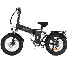 WINDGOO F22 PRO Bicicletta Elettrica Pieghevole 20" Motore 250W Batteria 48V 12.5Ah