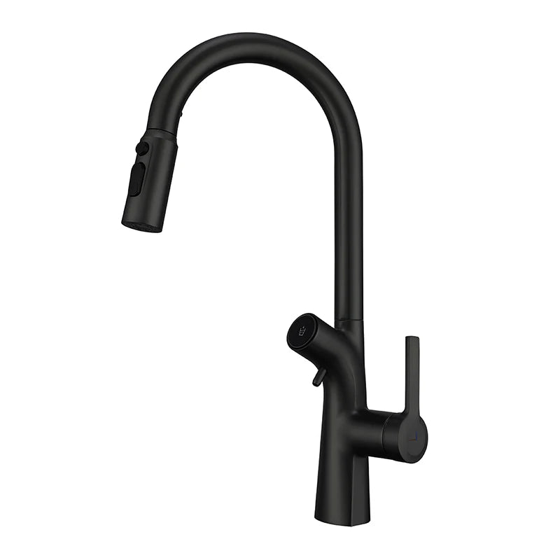 Vgx Water Filter Faucet Dual Spout Pure Drinking