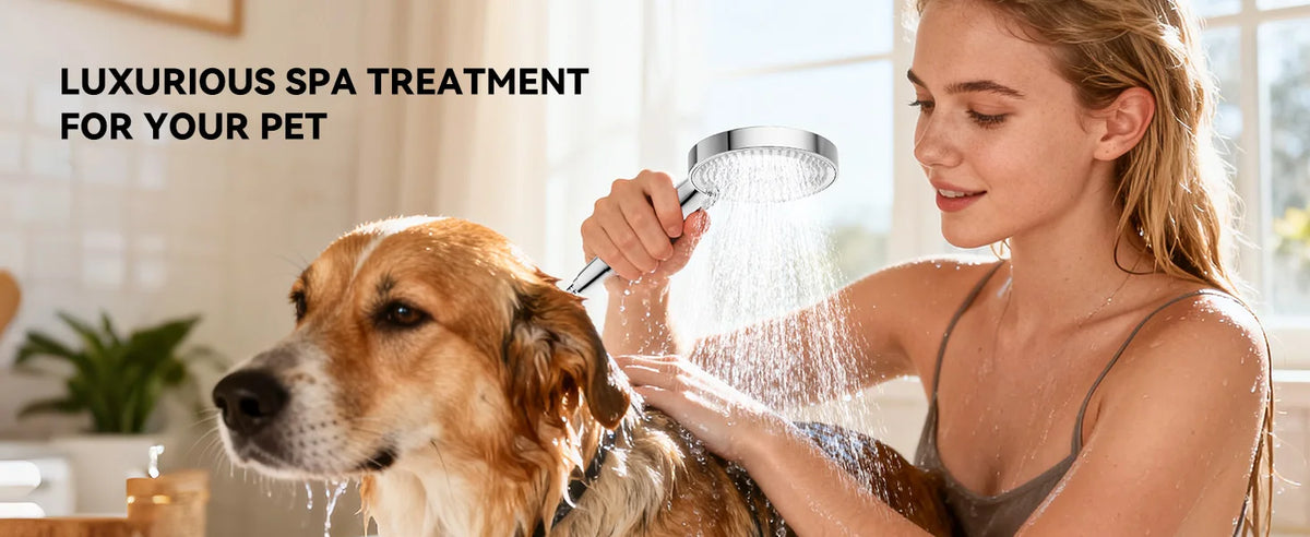 Tandem Shower Head Couples Dual Shower Head Handheld