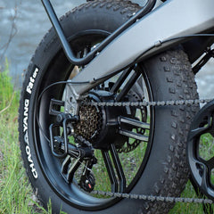 LUCKEEP X1 20" Składany Rower Elektryczny 1000W (1500W Szczyt) Silnik 48V 15Ah Bateria