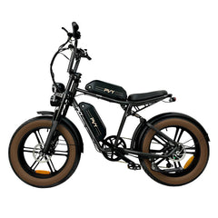 PVY X20 Bicicletta Elettrica Fuoristrada con Pneumatici Larghi 20" Motore 250W Batteria 48V 30Ah