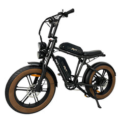 PVY X20 Bicicletta Elettrica Fuoristrada con Pneumatici Larghi 20" Motore 250W Batteria 48V 30Ah