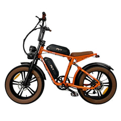 PVY X20 Bicicletta Elettrica Fuoristrada con Pneumatici Larghi 20" Motore 250W Batteria 48V 30Ah