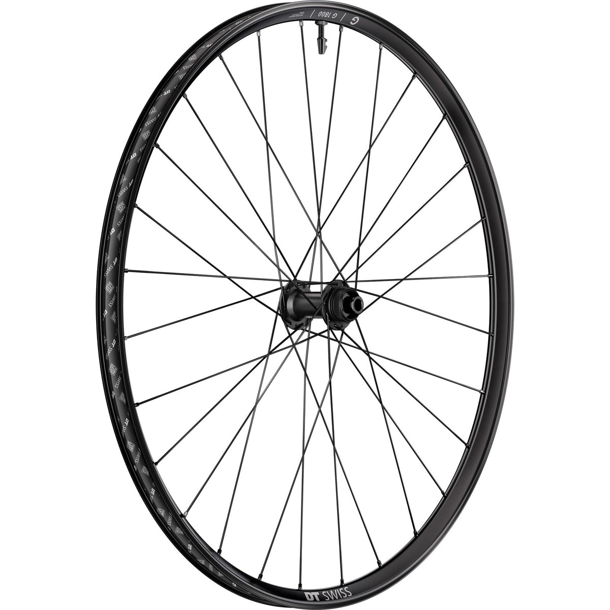 DT Swiss G 1800 Classic Disc Front Wheel, 700c, 12 x 100mm Thru-Axle, for Gravel 1
