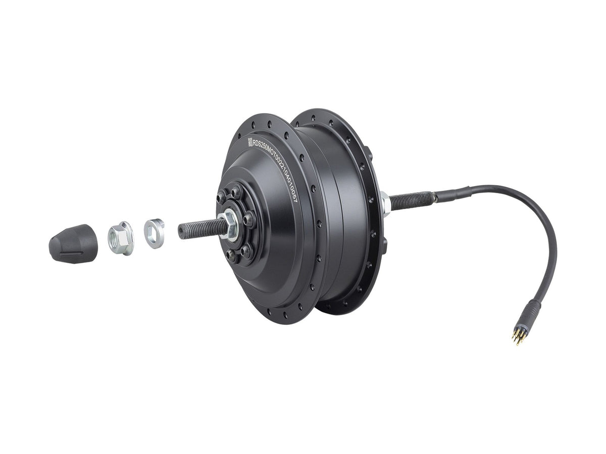 Hyena 250W Single-Speed Rear Hub Motor 1 Black 1