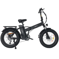 WINDGOO F21 PRO Bicicletta Elettrica Pieghevole 20" Motore 250W Batteria 48V 12.5Ah