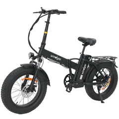 WINDGOO F21 PRO Bicicletta Elettrica Pieghevole 20" Motore 250W Batteria 48V 12.5Ah