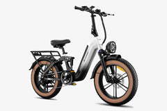LUCKEEP X3 Bicicletta Elettrica da Carico 20" Motore 750W (1400W di Picco) Batteria 48V 20Ah