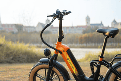 LUCKEEP X3 Bicicletta Elettrica da Carico 20" Motore 750W (1400W di Picco) Batteria 48V 20Ah