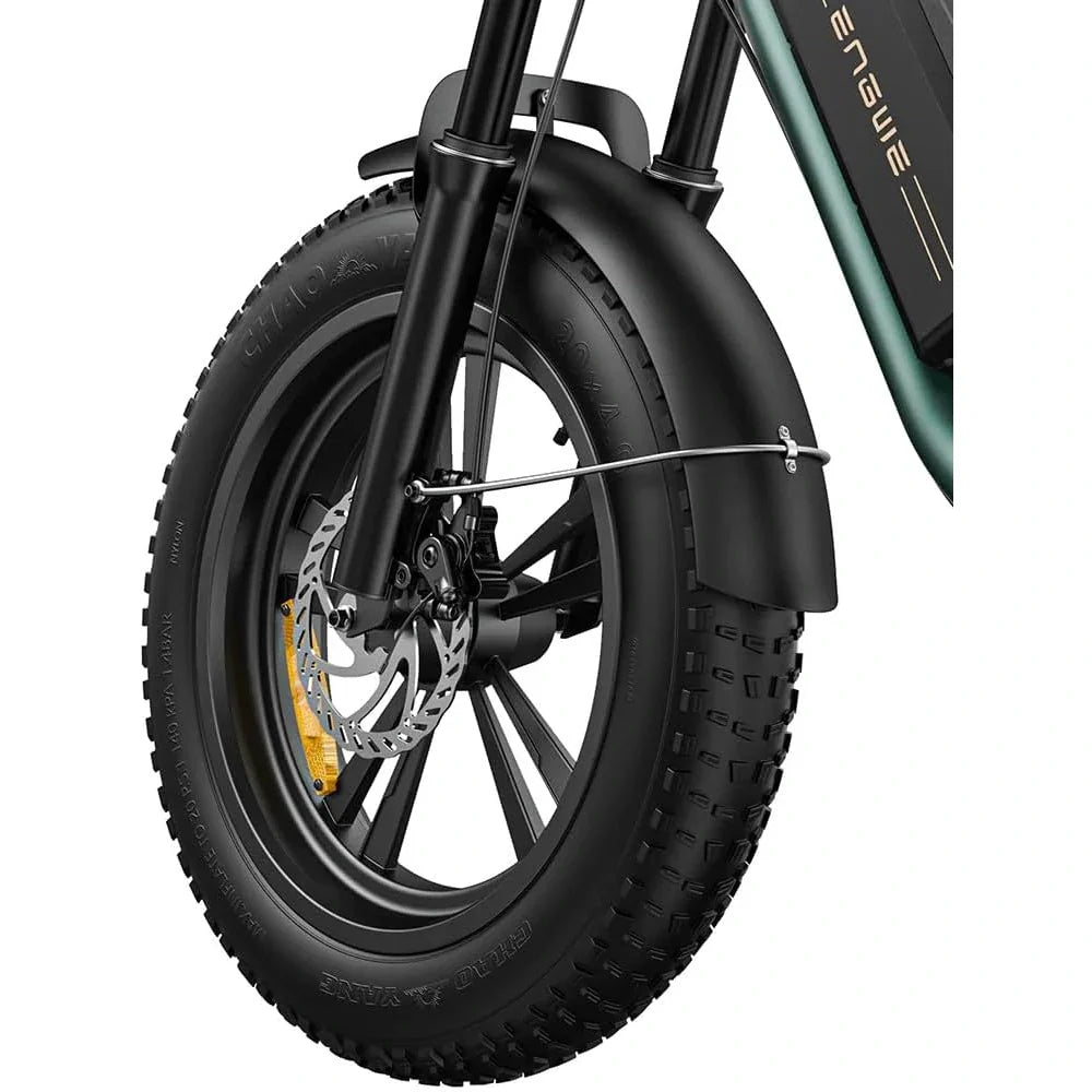 ENGWE M20 20" Fat Tire Off-road Electric Bike 750W Motor 48V 26Ah Dual Battery