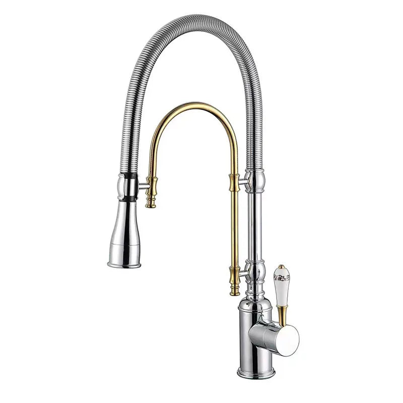 Faucet Pull Out 360 Degree Multi-Function Spring Pull