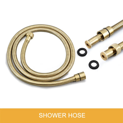 Brass Round Handheld Shower Head Brushed Gold Finish