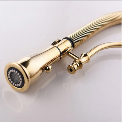 Faucet Pull Out 360 Degree Multi-Function Spring Pull
