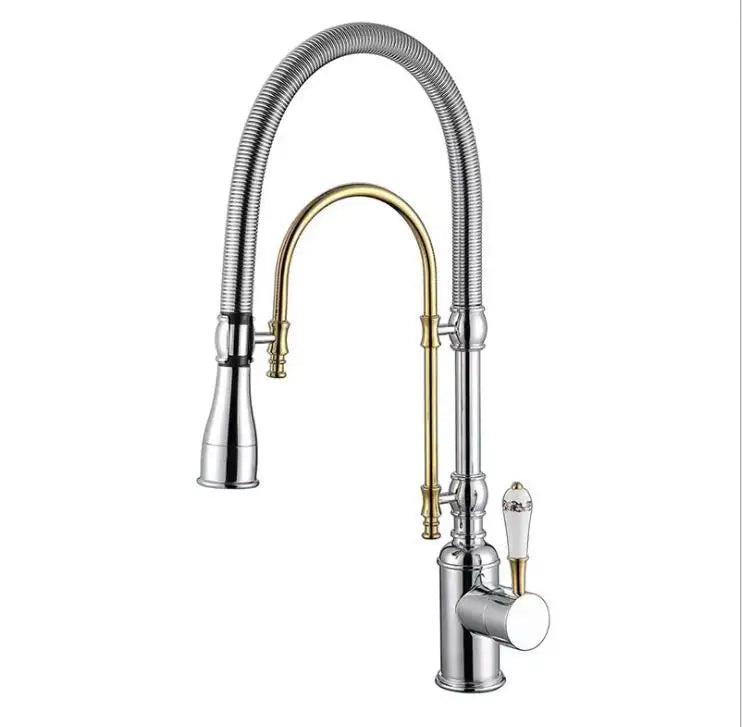 Faucet Pull Out 360 Degree Multi-Function Spring Pull