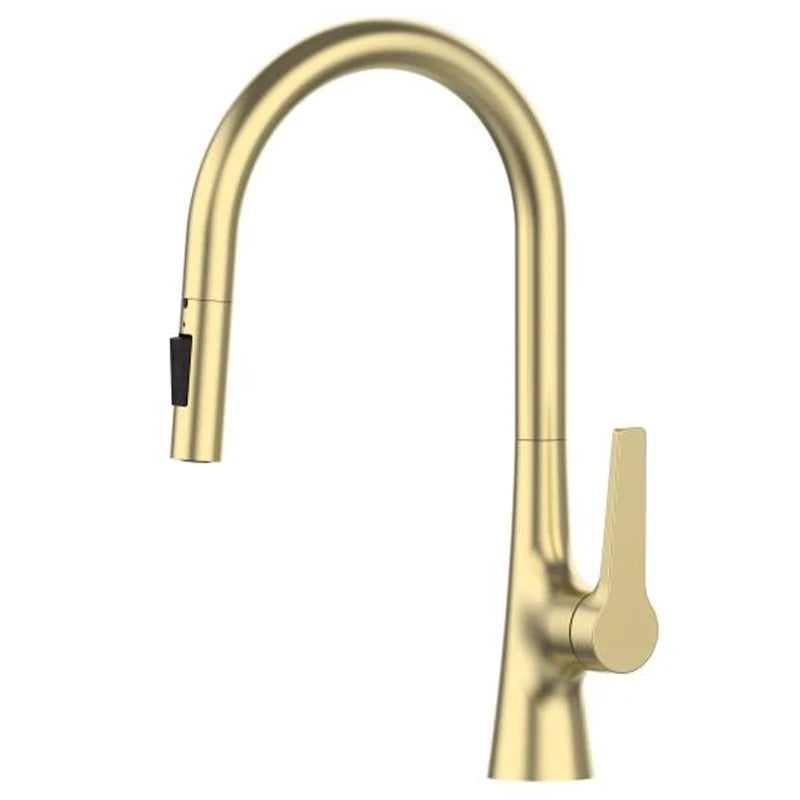 Bagnolux Brass Chrome Black Brushed Gold Spray Rotation