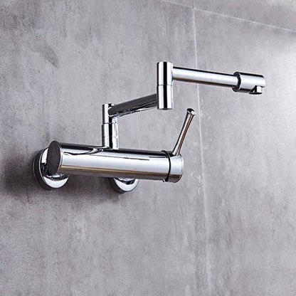 Samoel Brass Black Wall Mounted Dual Hole Foldable