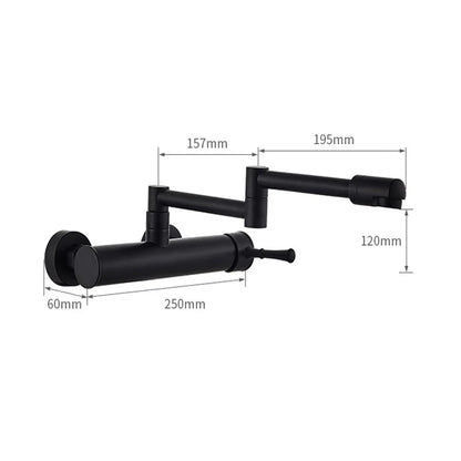 Samoel Brass Black Wall Mounted Dual Hole Foldable