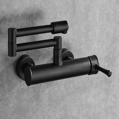 Samoel Brass Black Wall Mounted Dual Hole Foldable