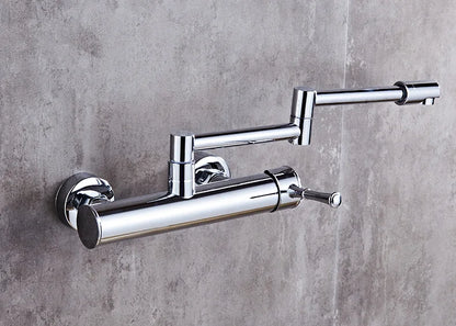 Samoel Brass Black Wall Mounted Dual Hole Foldable