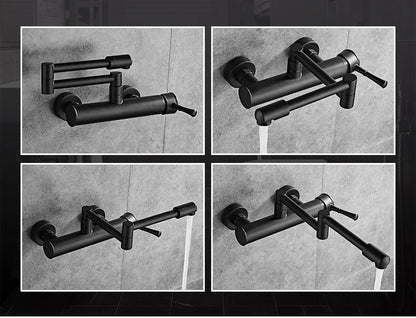 Samoel Brass Black Wall Mounted Dual Hole Foldable
