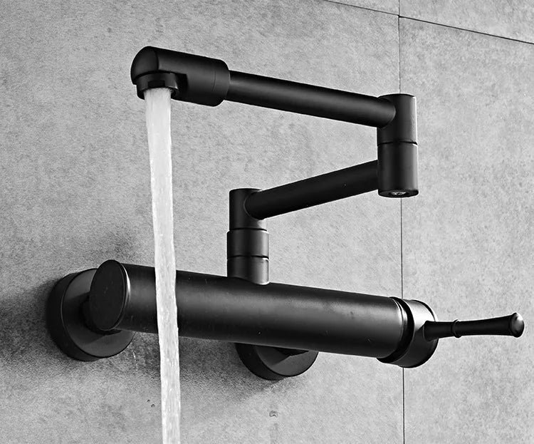 Samoel Brass Black Wall Mounted Dual Hole Foldable