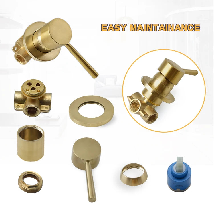 Brass Round Handheld Shower Head Brushed Gold Finish