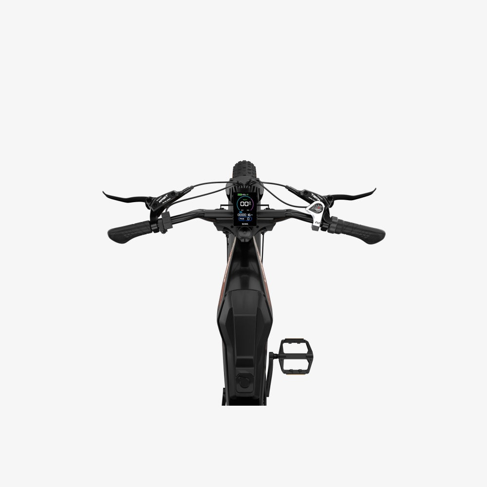LUCKEEP M5 20" Electric Dirt Motorbike 1000W Motor 48V 15Ah/35Ah Battery