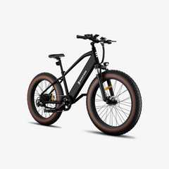 LUCKEEP C26 26" Mountainbike Elektrofahrrad 750W (1400W Spitze) Motor 48V 15Ah Batterie