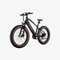 LUCKEEP C26 26" Mountainbike Elektrofahrrad 750W (1400W Spitze) Motor 48V 15Ah Batterie