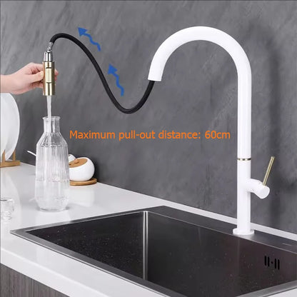 Oxg 304 Stainless Steel Lead-Free Faucet Pull-Out Sprayer