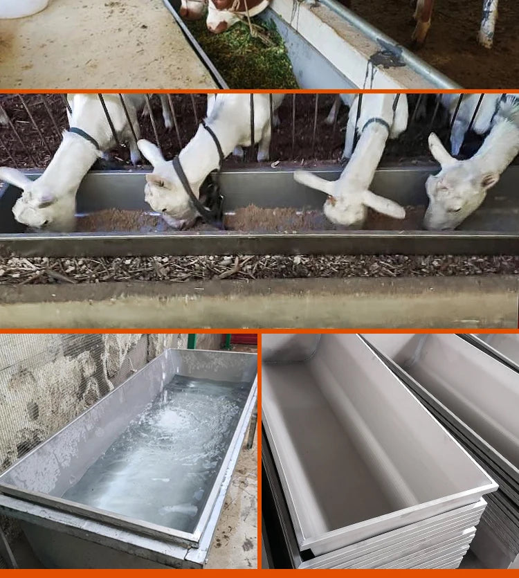 Cattle Sheep Electric Heating Drinking Water Feeding Sink