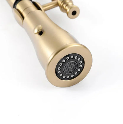 Faucet Pull Out 360 Degree Multi-Function Spring Pull