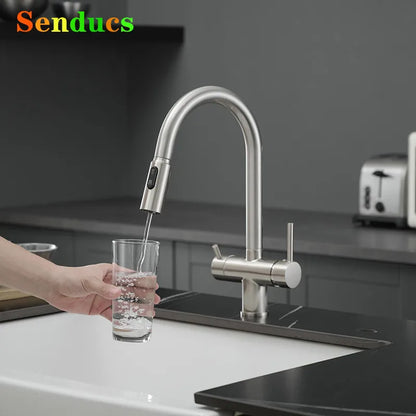 Brushed Nickel Pull Out Filter Faucets Quality Brass