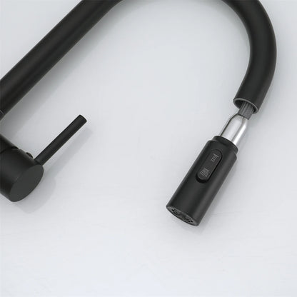 Pure Water Pull Out Filter Sink Faucet Pull