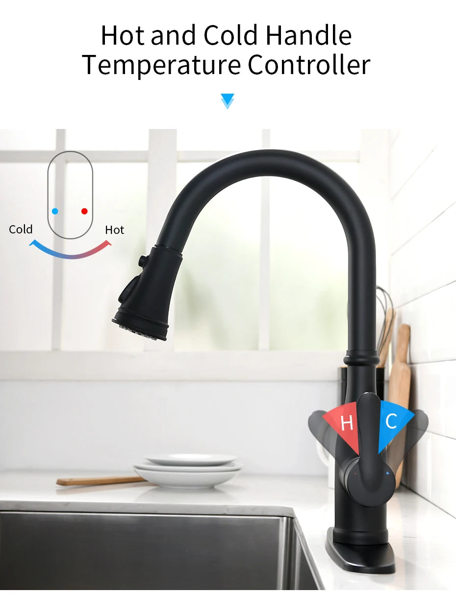 Brushed Nickel Faucets Handle Pull Out Tap Hole