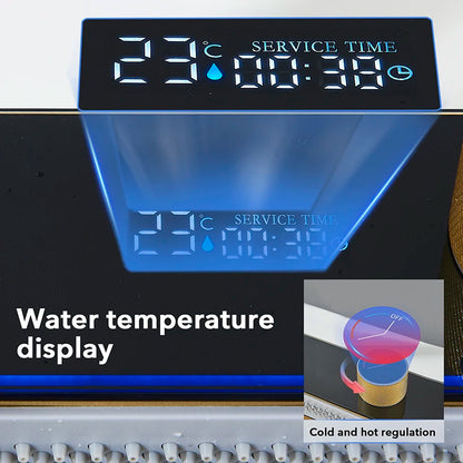 Golden Stainless Steel Sink Smart Digital Display Integrated