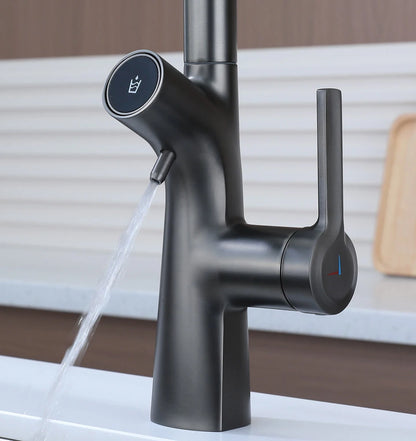 Vgx Gold Water Filter Faucet Dual Spout Pure