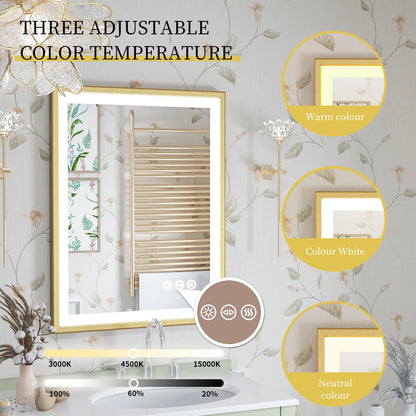 Led Bathroom Vanity Mirror Gold Frame Front Lighted