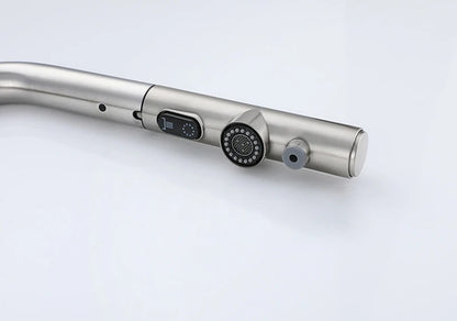 Pull Out Sink Faucet Two Model Stream Sprayer