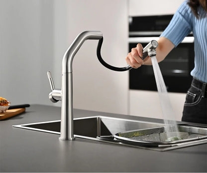 Vgx Faucet Dual Spout Pure Drinking Water Tap